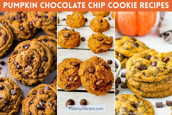 17+ Easy & Soft Pumpkin Chocolate Chip Cookie Recipes