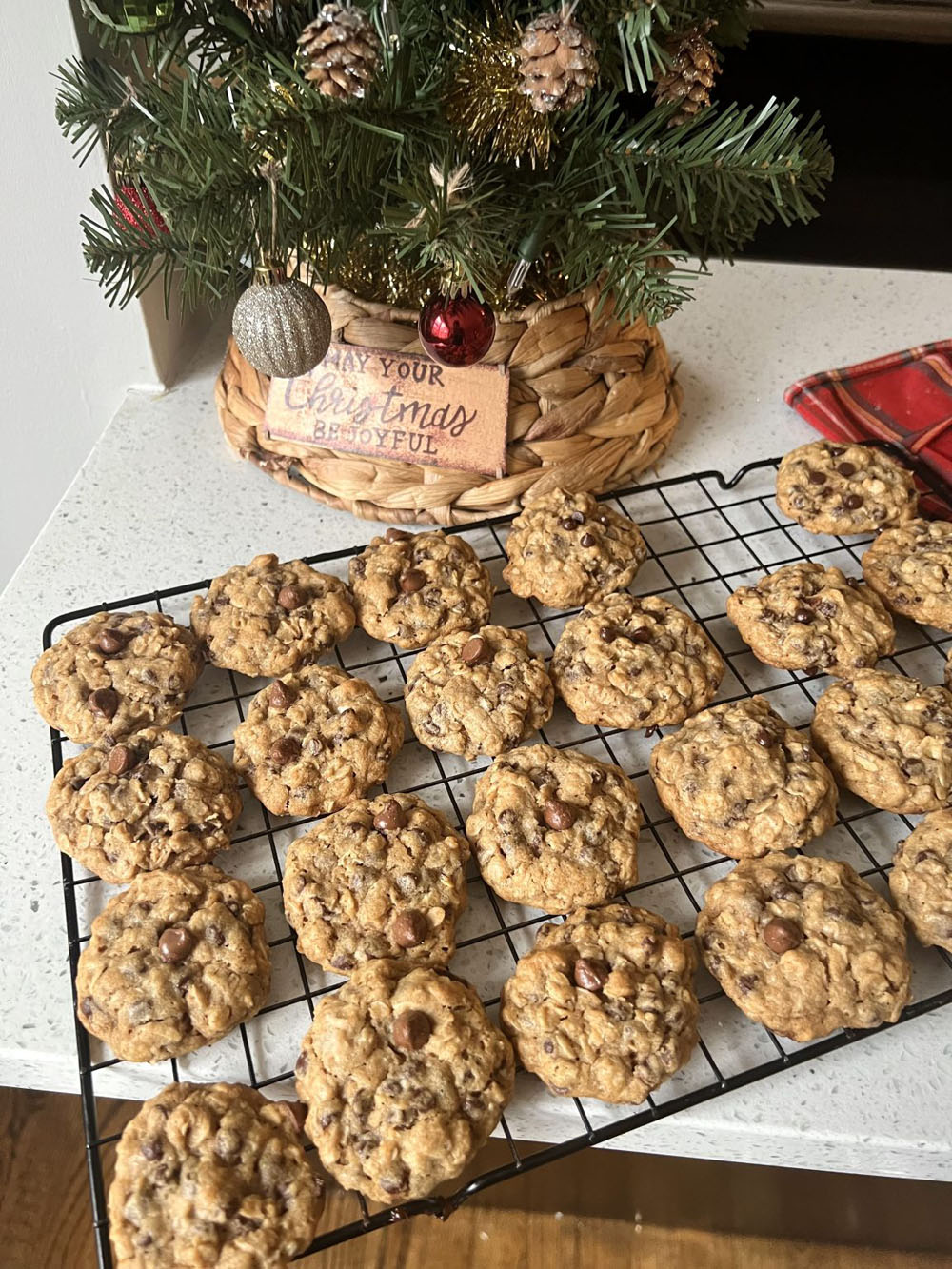 Fall cookie recipes 23