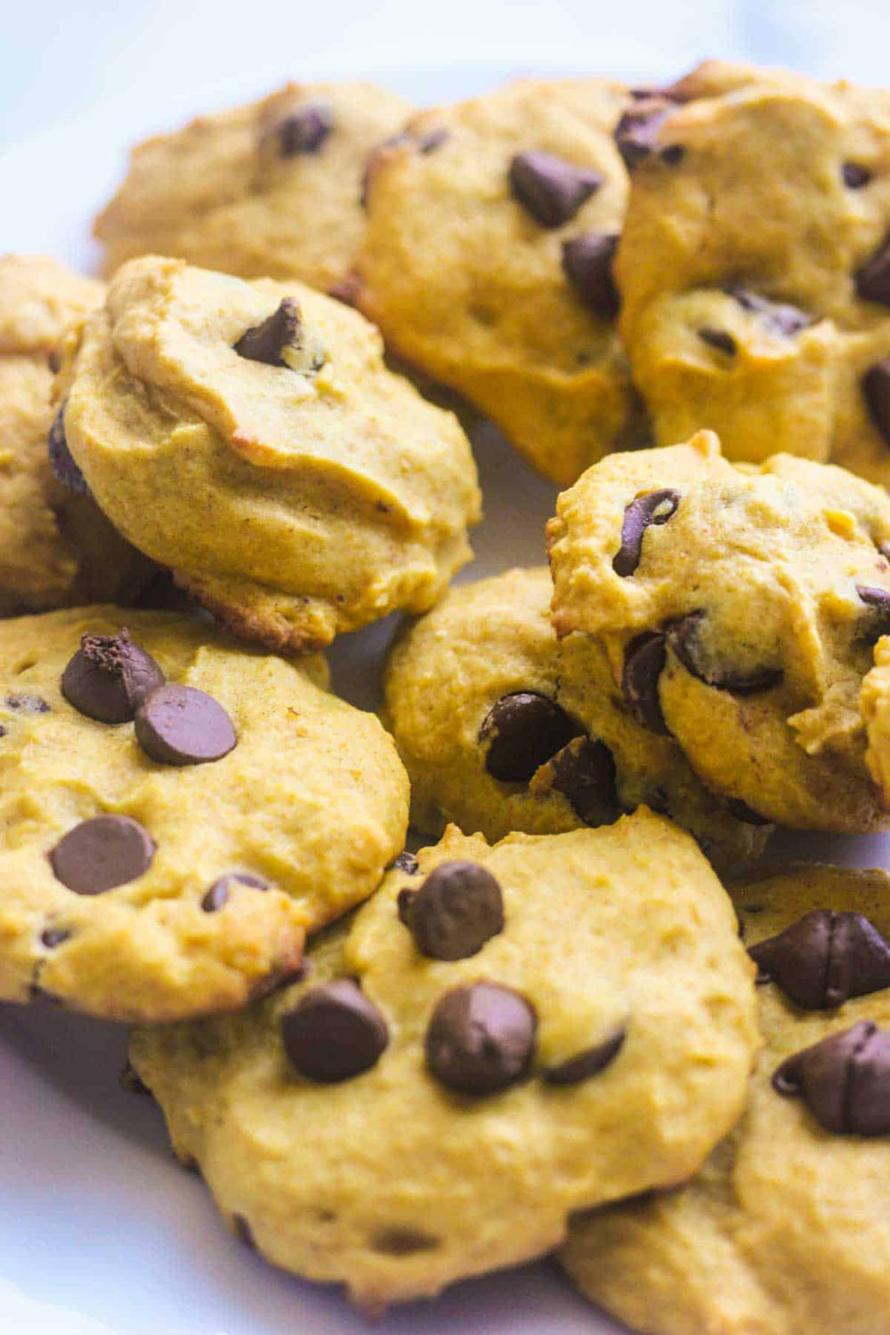 Fall cookie recipes 8