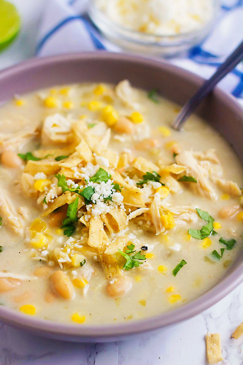 Fall Crockpot Recipes (26)