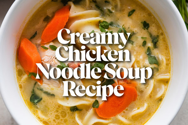 Creamy Chicken Noodle Soup Recipe for Family Meal